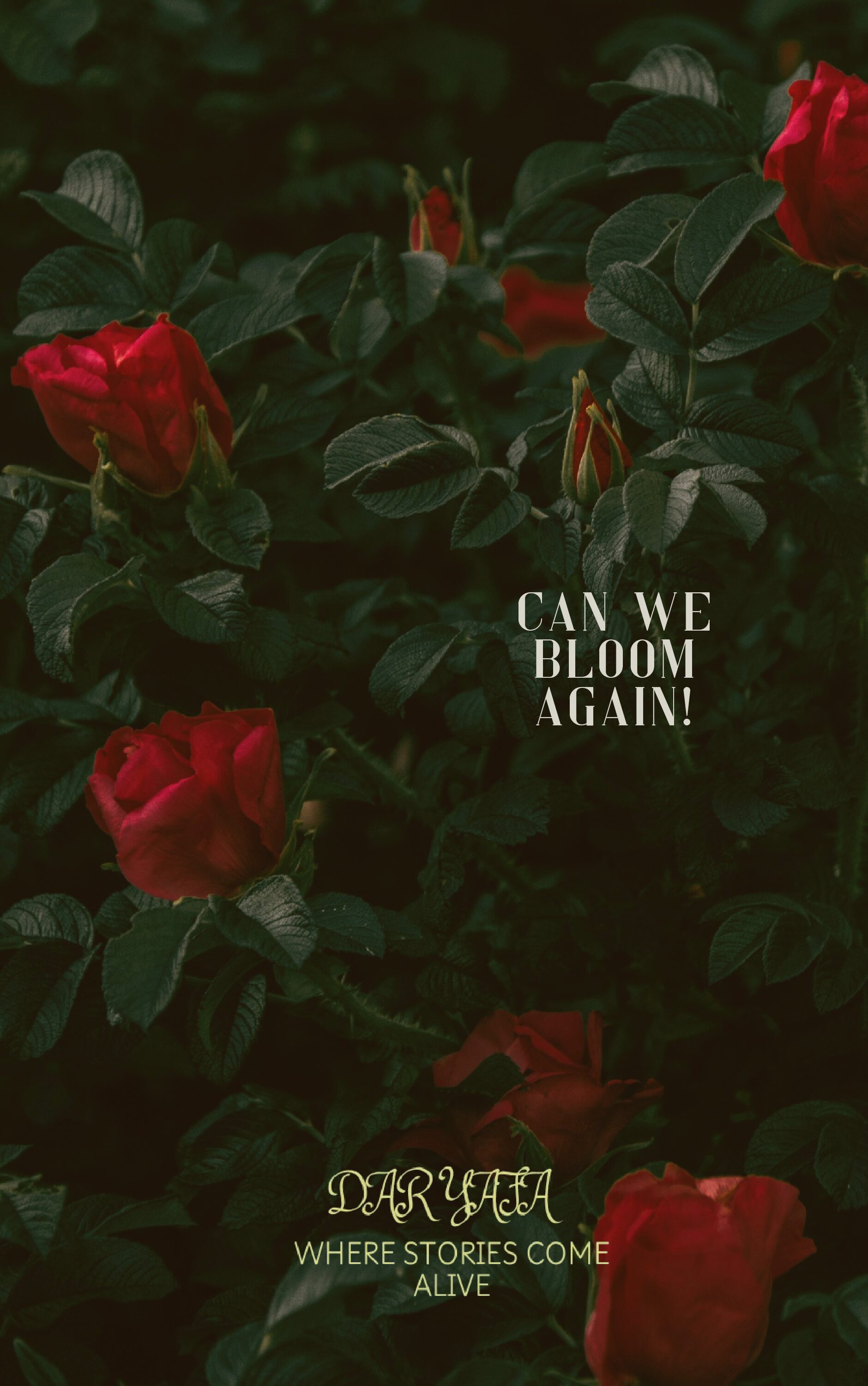Can we bloom again!
